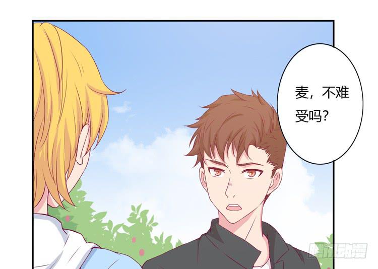 我与秋田漫画,刚刚的是什么！？1图