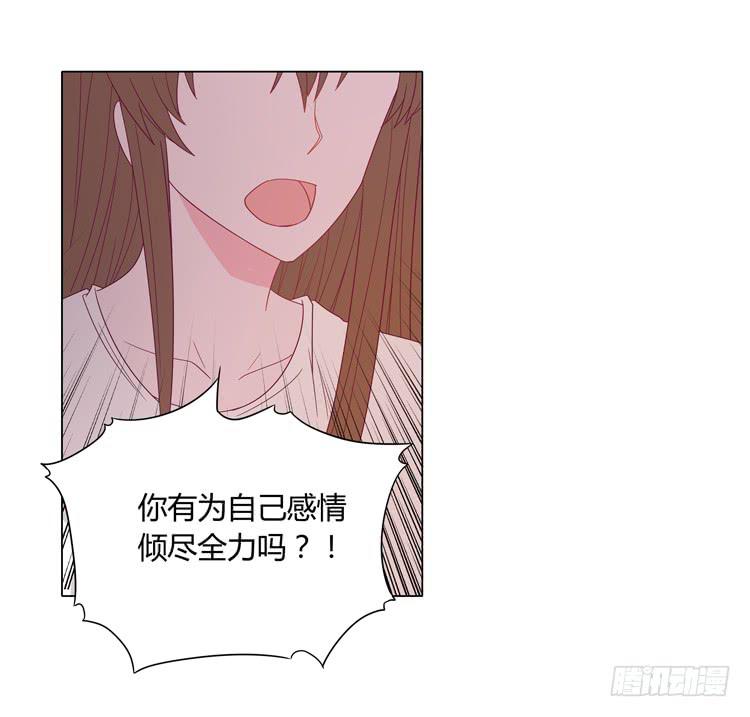 我与秋田漫画,紫色雏菊的花语2图