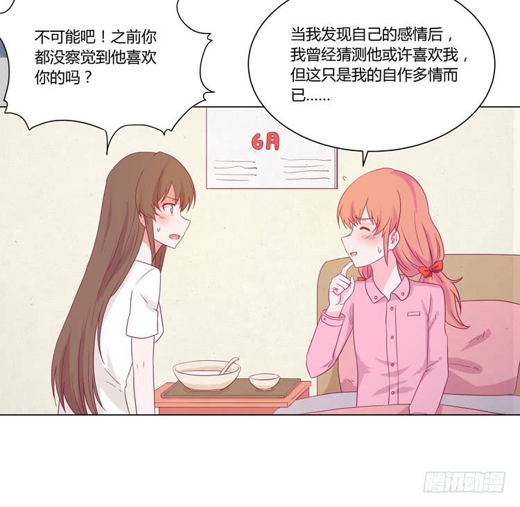 我与秋田漫画,紫色雏菊的花语2图
