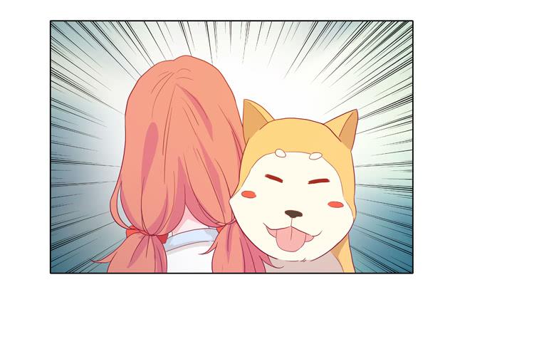 我与秋田漫画,我要带小麦回城里！1图