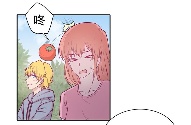 我与秋田漫画,一直陪你走到最后…2图