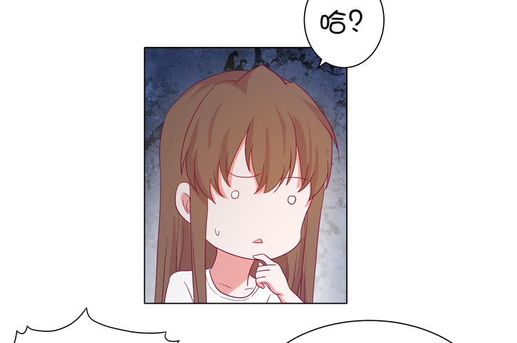 我与秋田漫画,紫色雏菊的花语1图