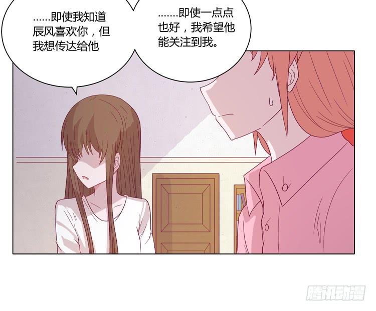 我与秋田漫画,紫色雏菊的花语2图