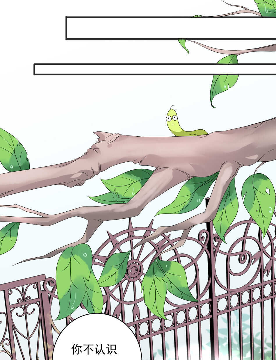 别爱我，没结果！漫画,第115话 解除魅惑体质的方法？1图