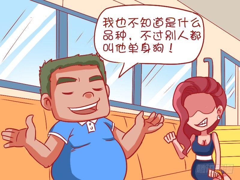 公交男女爆笑漫画漫画,484-高逼格宠物2图