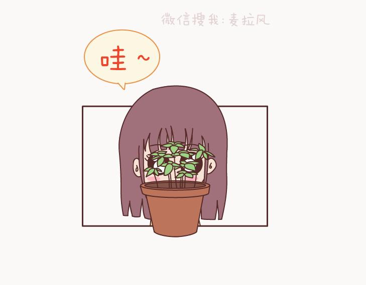麦拉风-婚后80漫画,第127话 我就喜欢不那么好的你1图