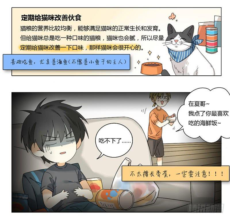 身份证转户口怎么办理漫画,第42话2图