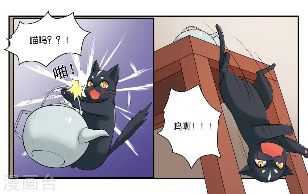 女友男神漫画,第16话 迷路的小猫咪1图