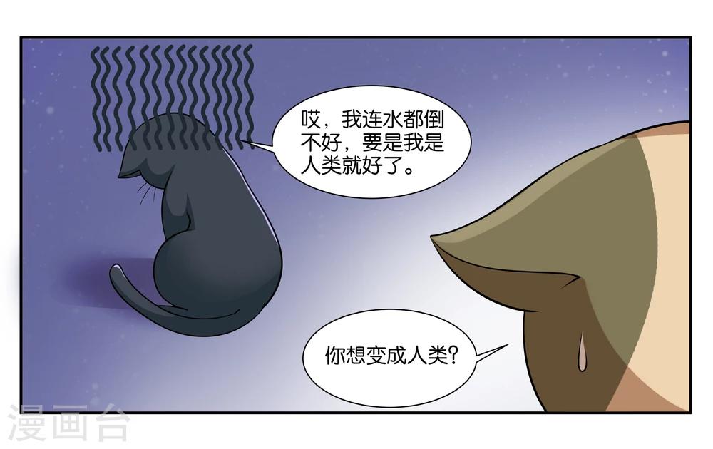女友男神漫画,第16话 迷路的小猫咪2图