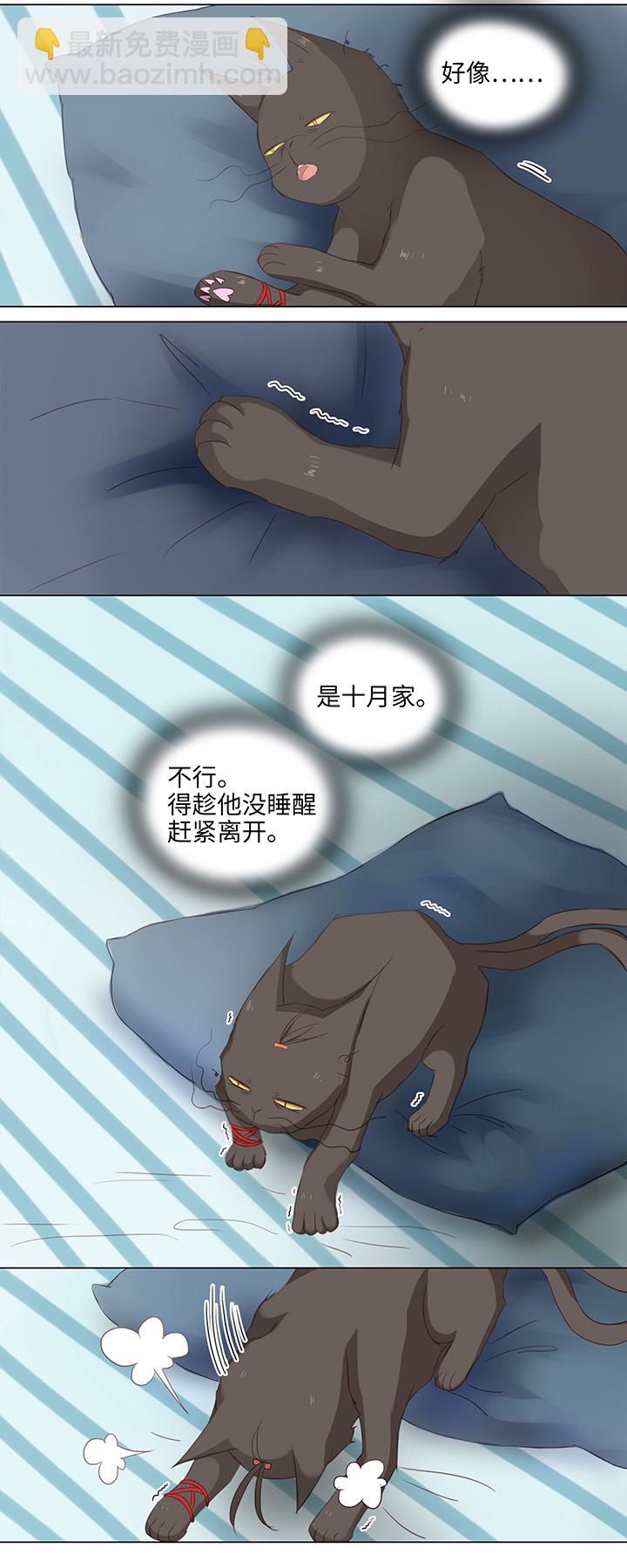 妖怪手表4漫画,14 喵回来啦~2图