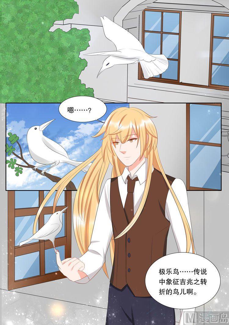 灼灼琉璃夏漫画,第三十一章 心之镇魂曲011图