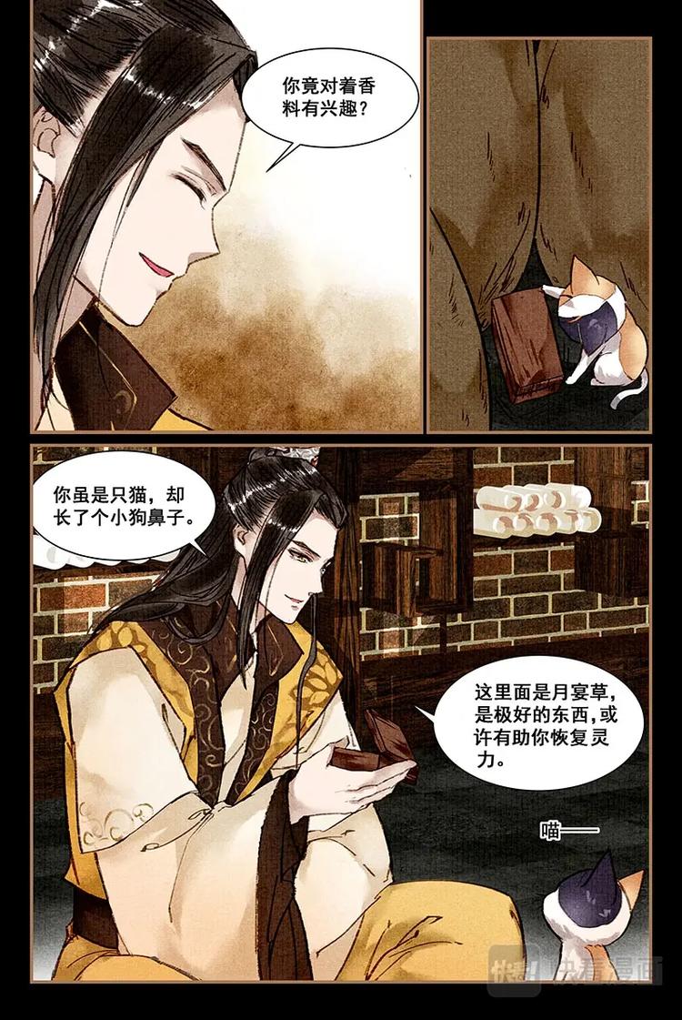 我的猫咪叫小白漫画,07星亦隐秘2图