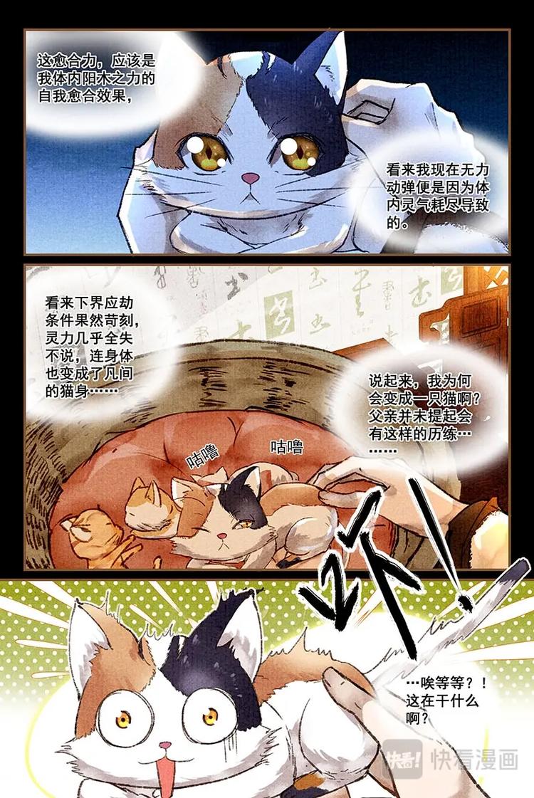 我的猫咪呢游戏攻略漫画,第3话 男孩子？1图