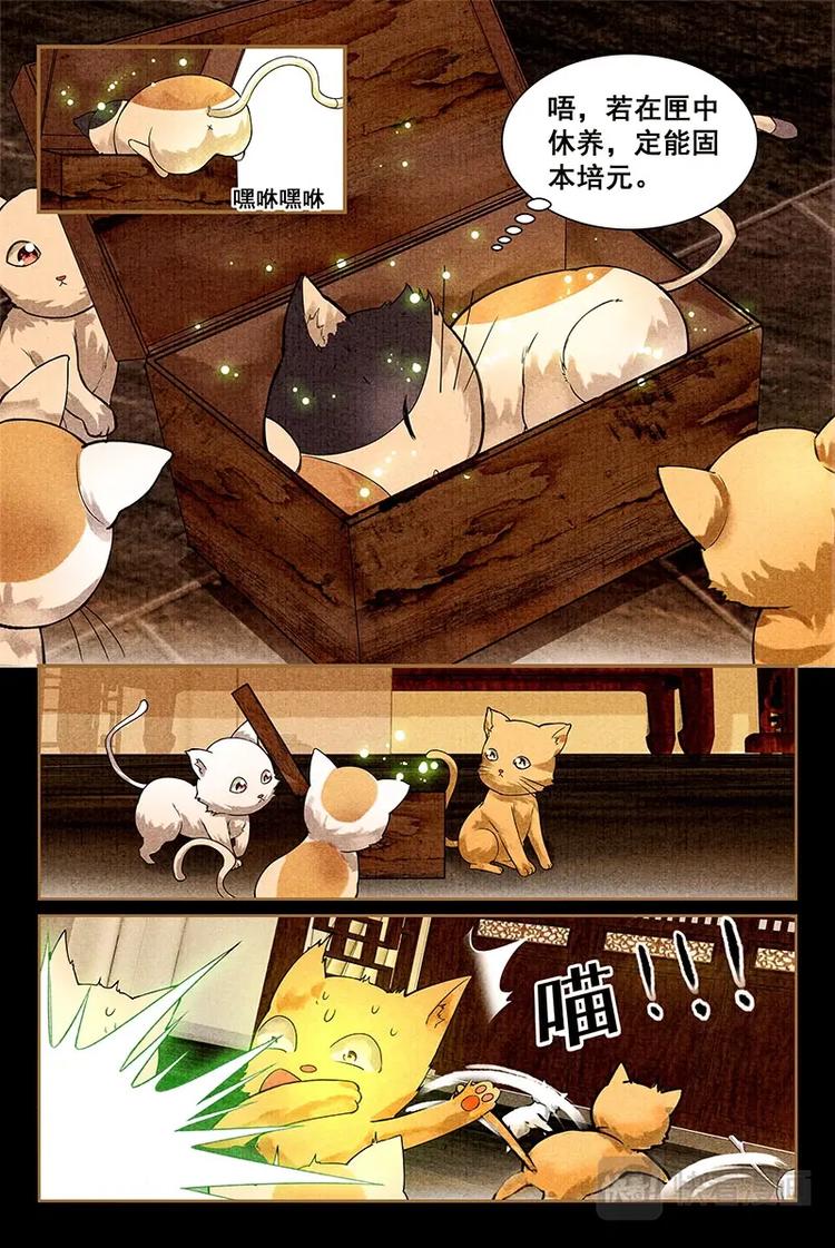 我的猫咪上仙讲什么漫画,08储仙匣2图