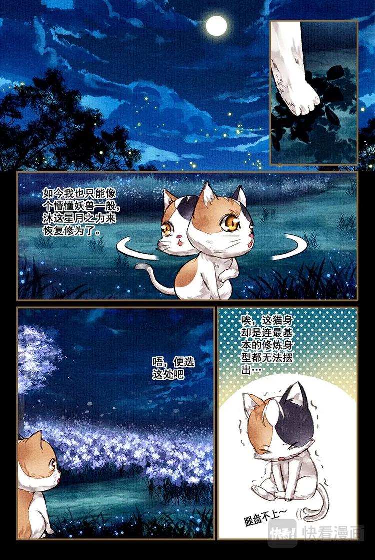 我的猫咪上仙小说免费漫画,第6话 一夜显真身1图