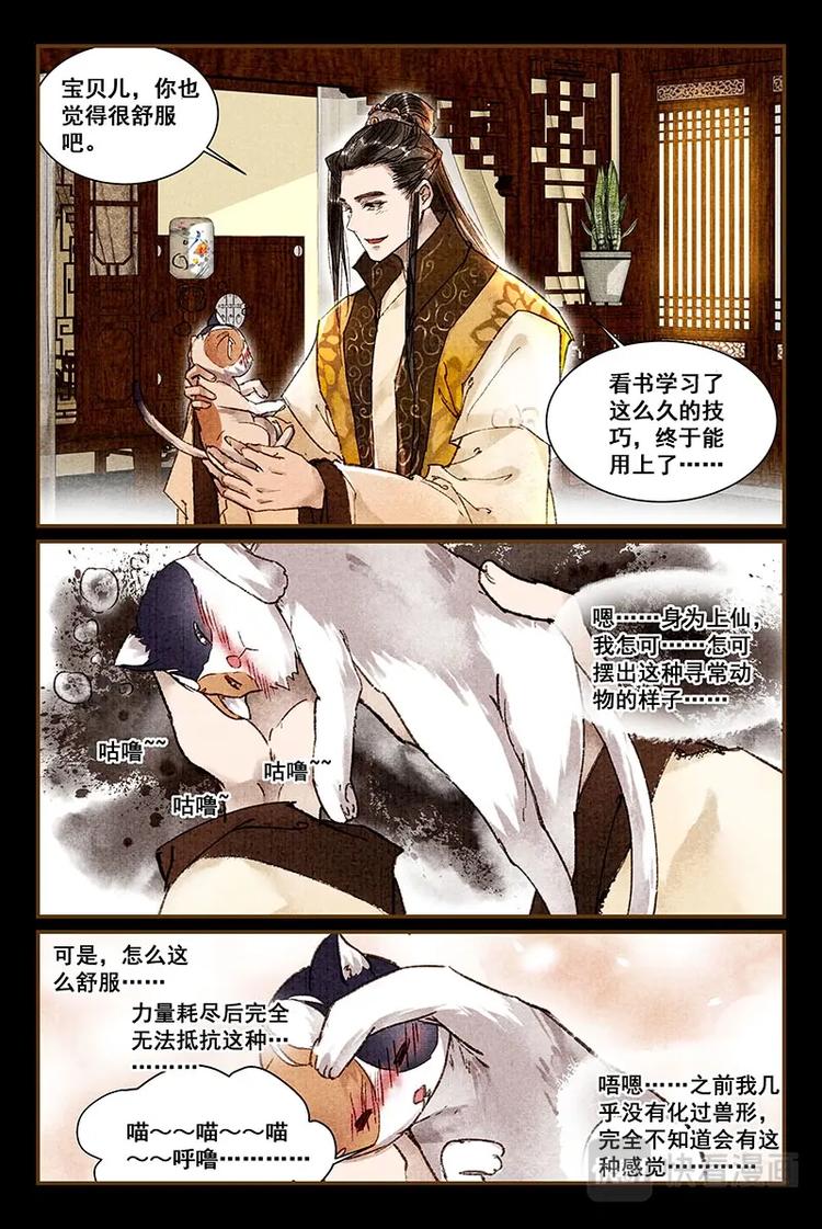 我的猫咪上仙了漫画免费漫画,04舒辰喵的蛋蛋2图