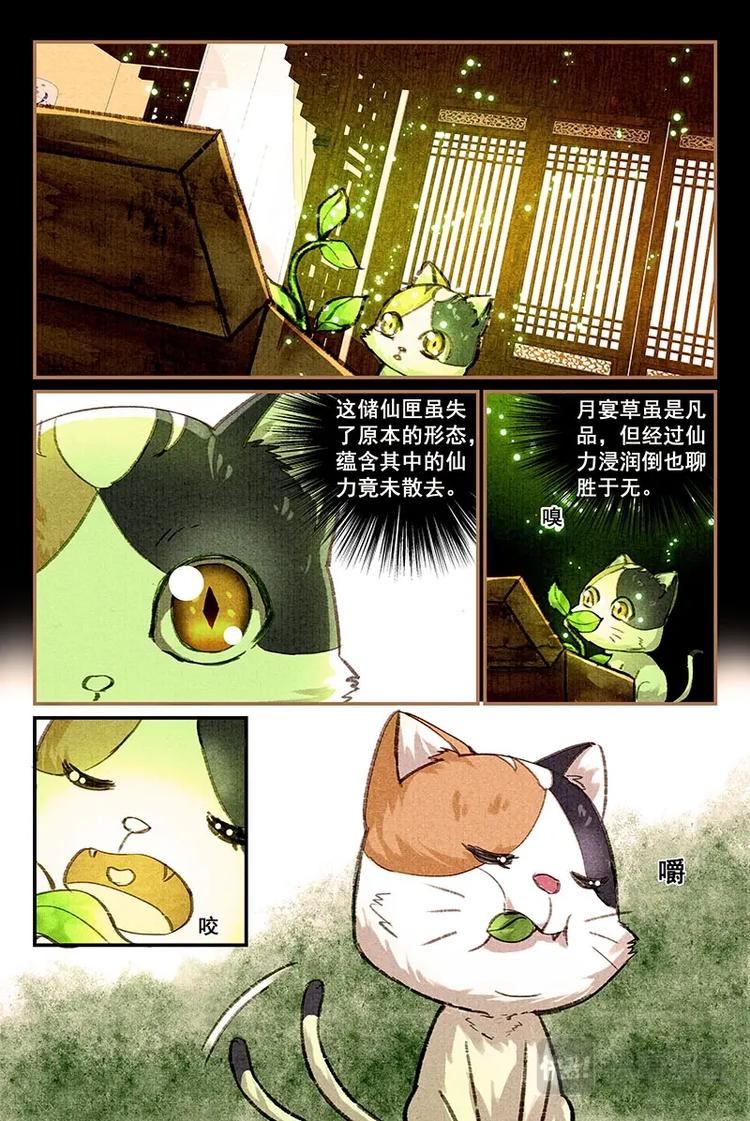 我的猫咪上仙讲什么漫画,08储仙匣1图