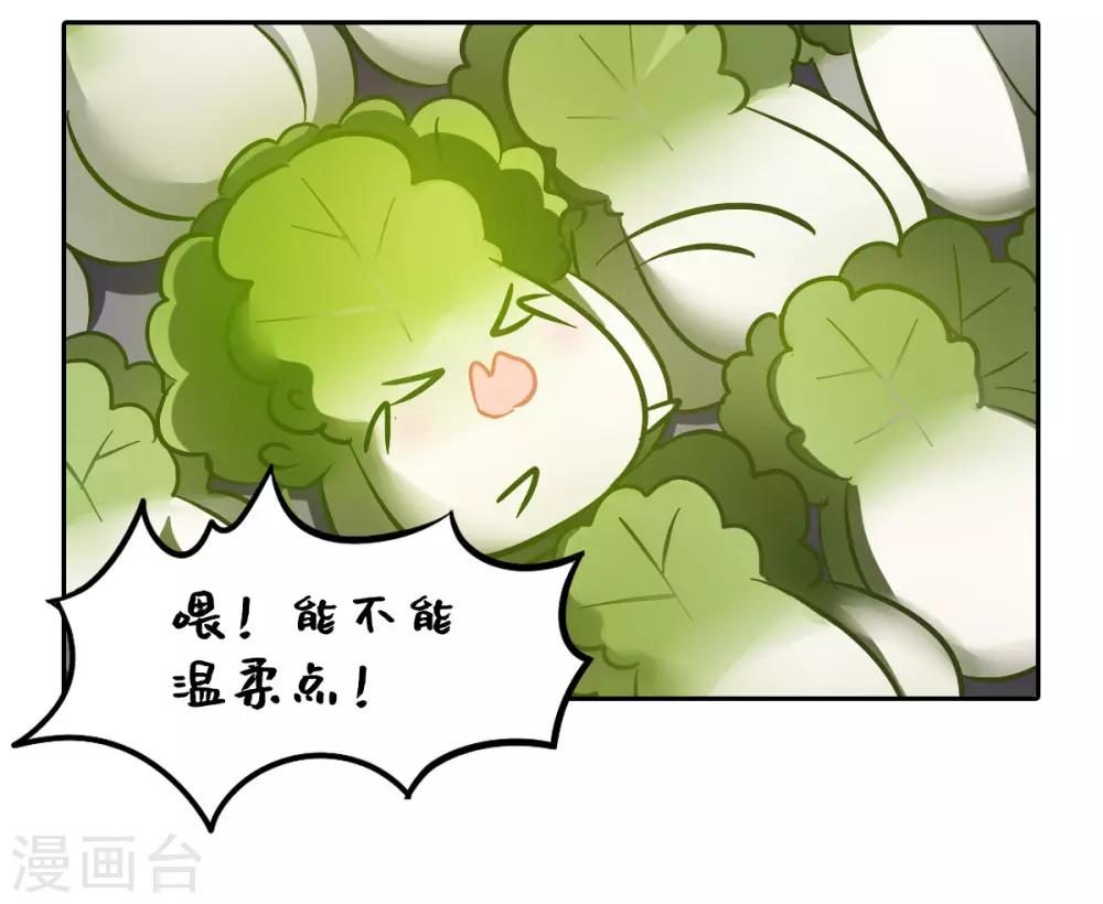 一棵白菜的动迁之旅漫画,全一话1图