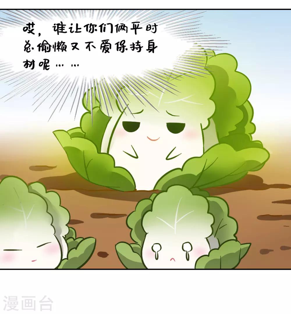 小说作者一棵白菜漫画,全一话1图