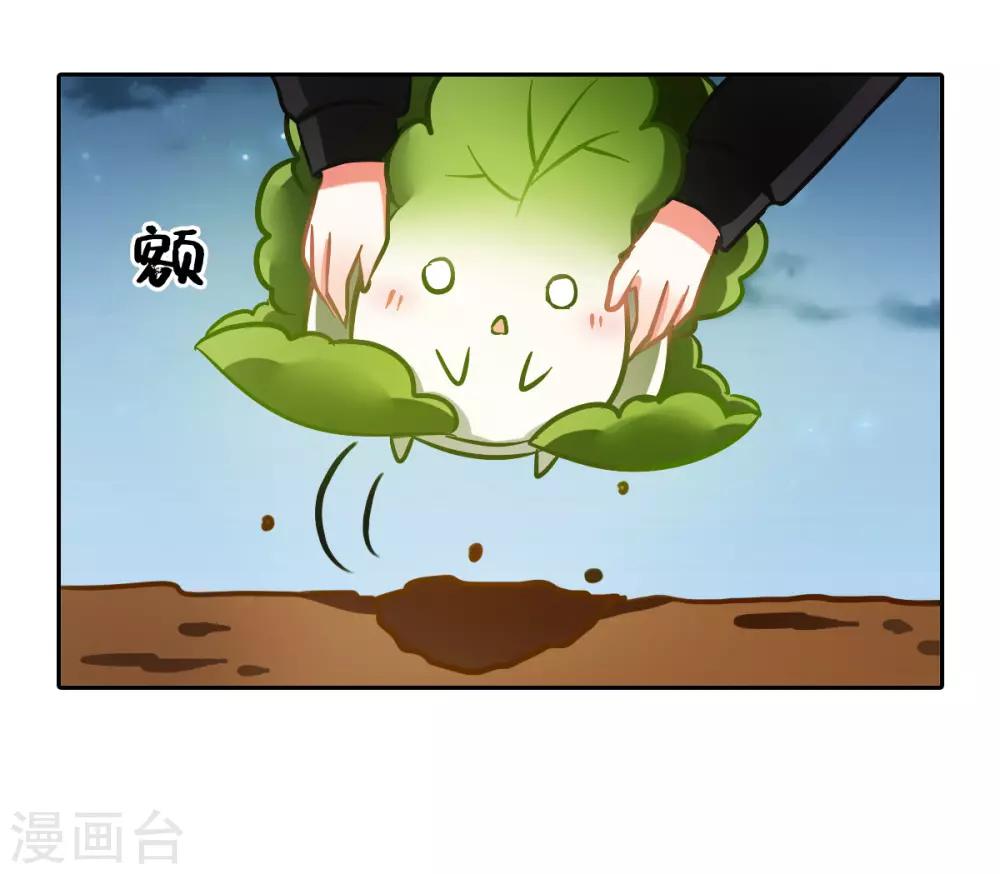 一棵白菜的动迁之旅漫画,全一话1图