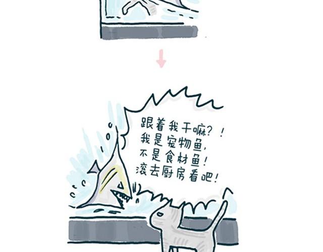 猫和鱼的视频故事漫画,第1话 我们生来就势不两立1图