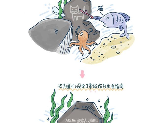 猫和鱼的视频故事漫画,第1话 我们生来就势不两立1图