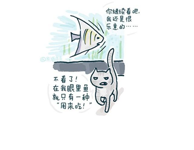 猫和鱼的视频故事漫画,第1话 我们生来就势不两立1图