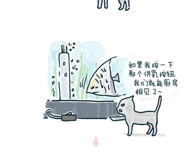 猫和鱼的视频故事漫画,第1话 我们生来就势不两立2图