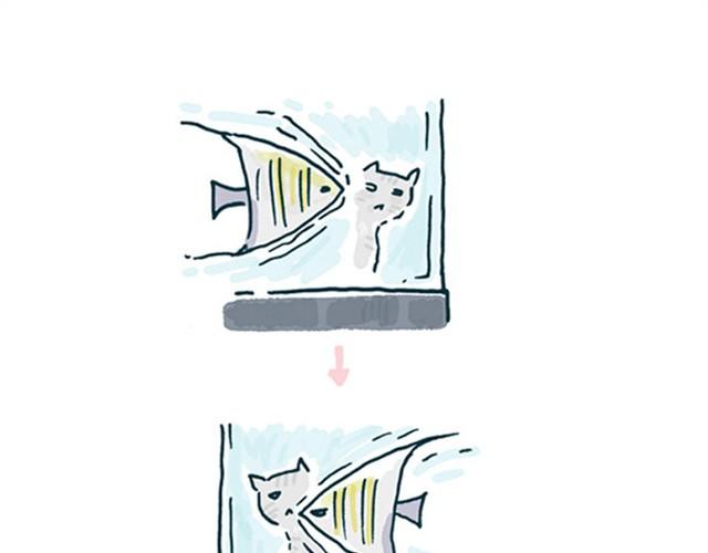 猫和鱼的视频故事漫画,第1话 我们生来就势不两立2图