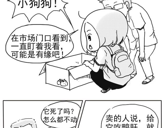 dorami漫画,谢谢你来过这世界2图