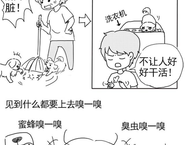 doraemon x漫画,谢谢你来过这世界2图