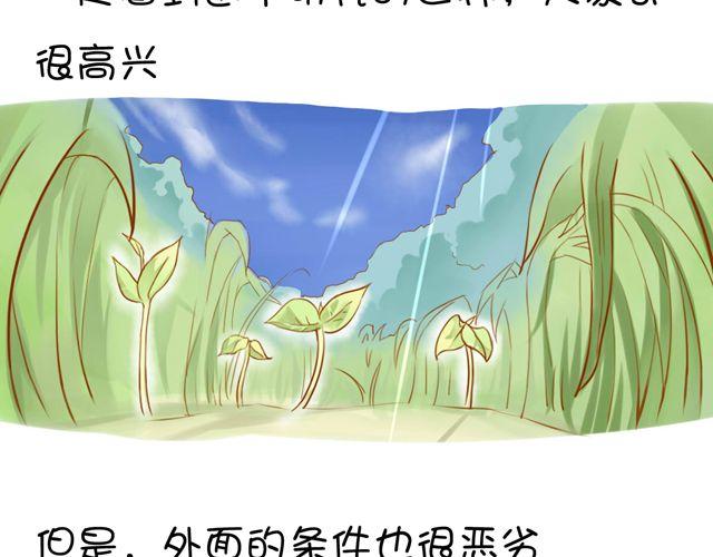 黑羊阅读理解漫画,一棵树 （中）1图