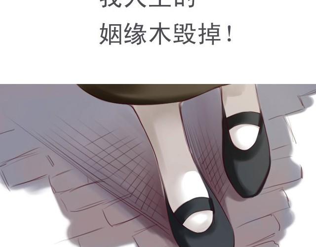 姻缘木符漫画,下篇 因为我也喜欢你啊1图