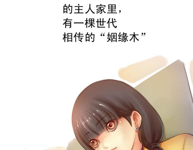 姻缘木谁演的漫画,上篇 世代相传2图