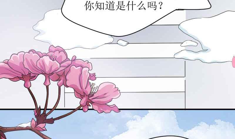 帝少绝宠迷糊小妻漫画漫画,第0话 预告1图