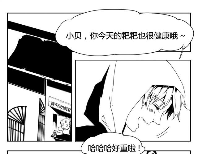 zoo进化大作战剧本杀测评漫画,第1话下 暴风雨的前夕1图