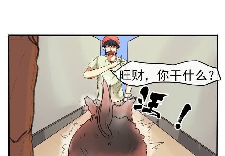 荒年火猫漫画,第四回：鱼游釜中（下）2图