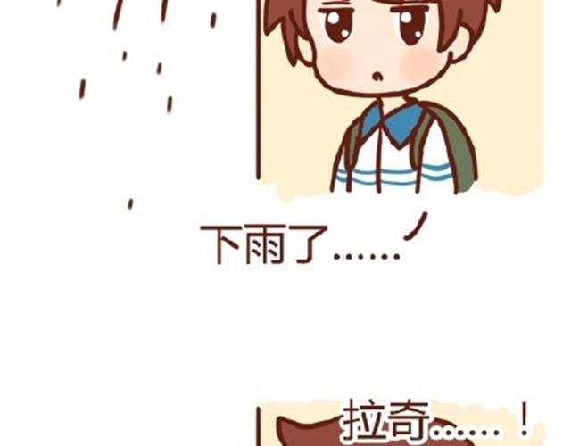 拉奇兔漫画,我来接你啦2图