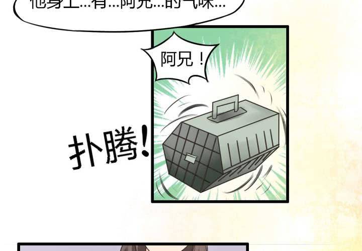 幼兽改装最佳方案漫画,第五话2图