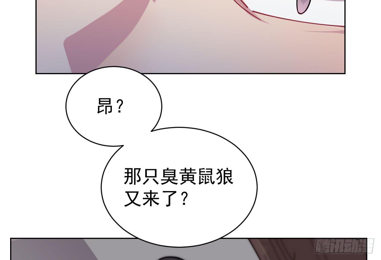 犬饲兔子漫画,8.冲突2图