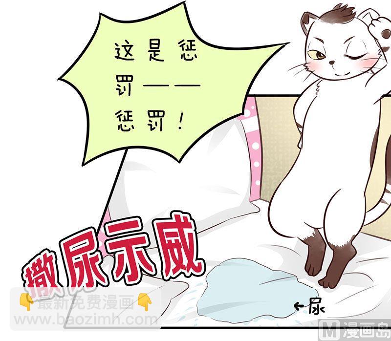 喂 铲屎的漫画,第3话2图