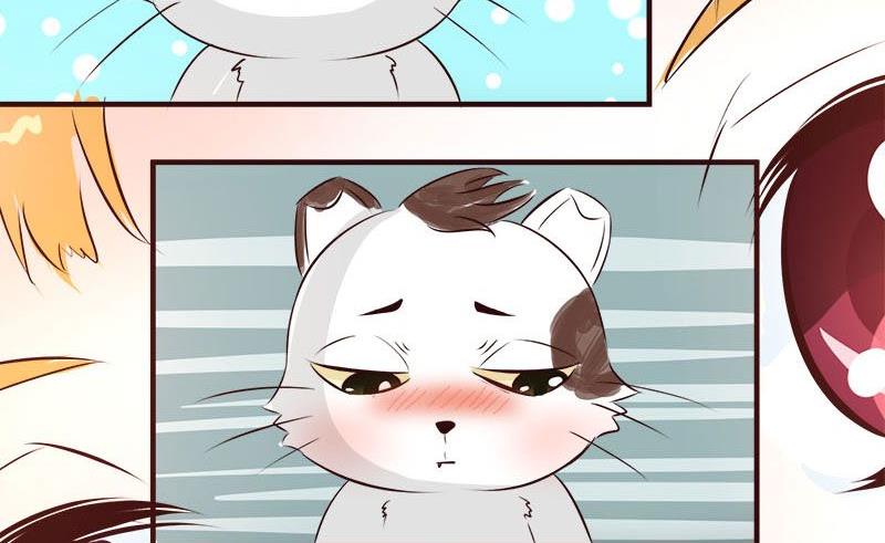 喂 铲屎的漫画,第5话2图