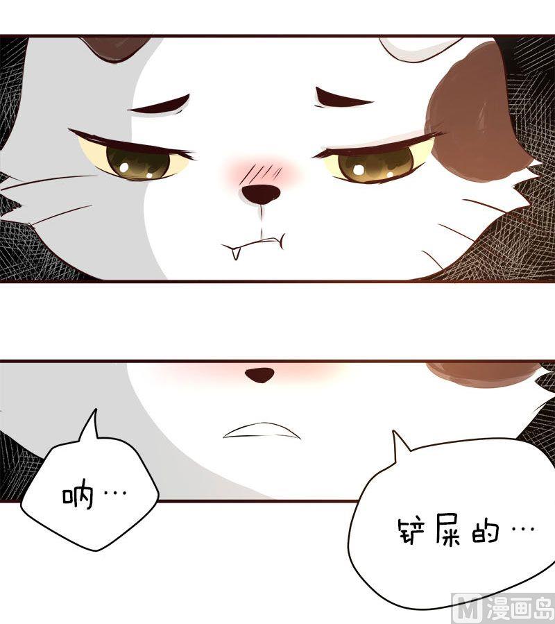 喂 铲屎的漫画,第6话1图