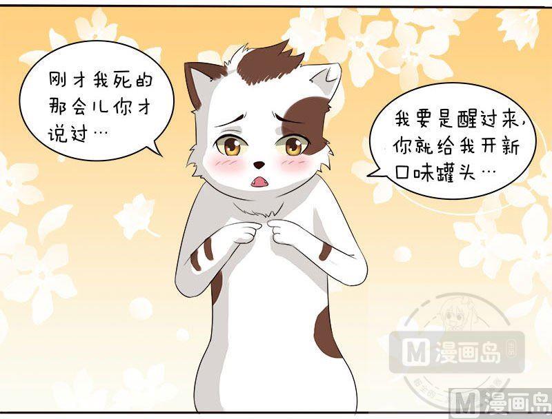 喂 铲屎的漫画,第9话1图