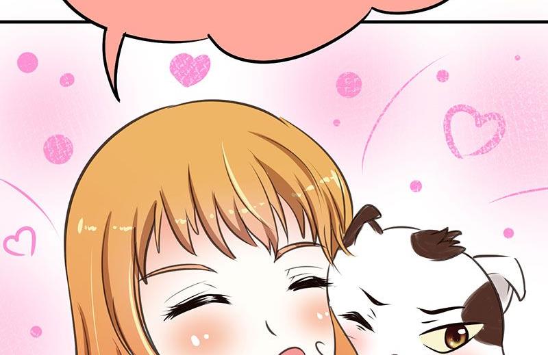 喂 铲屎的漫画,第1话2图