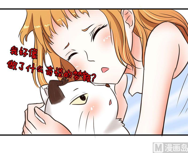 喂 铲屎的漫画,第1话1图