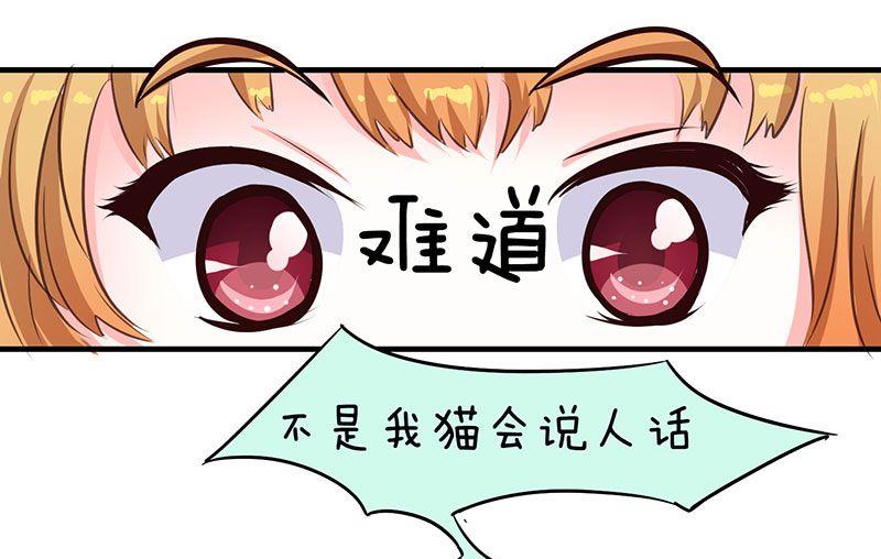 喂 铲屎的漫画,第2话1图