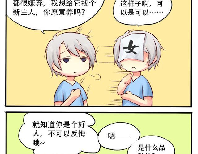 这个医生超麻烦漫画,你介意养条单身狗吗？1图