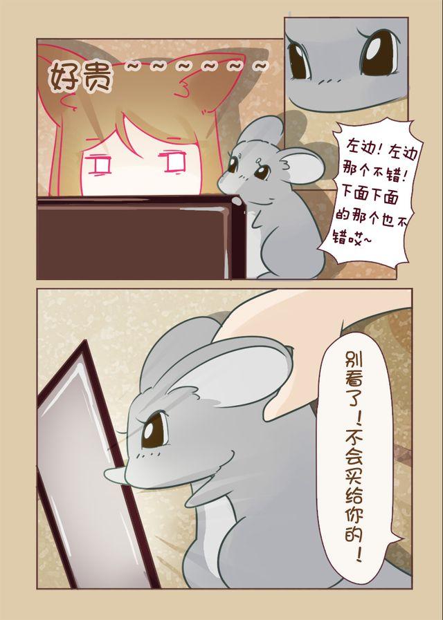 我家龙猫为什么看到我就跑漫画,第8话 文艺猫2图