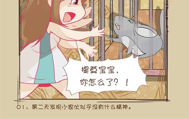 我家龙猫不说话完整版漫画,第2话 水壶君之殇2图